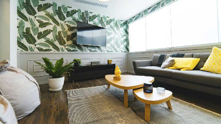 Mejores plantas de interior Plantas forma textura con patrón de fondo Neea Flora